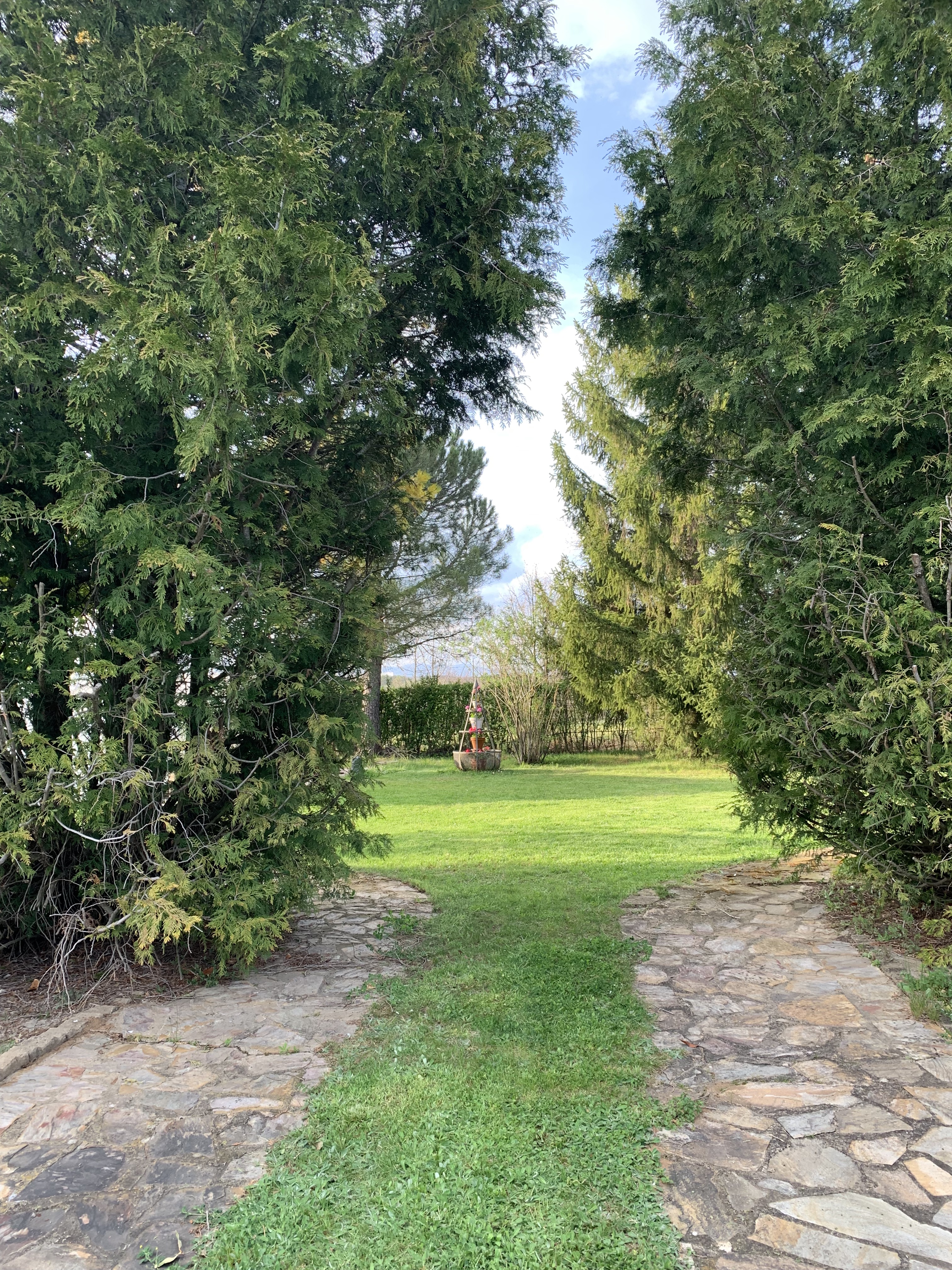 Camino de Entrada y Vegetación de la Villa