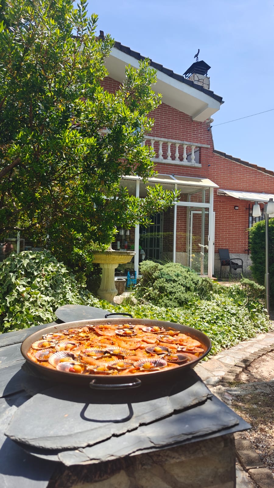 Experiencia Gastronómica al Aire Libre en la Finca